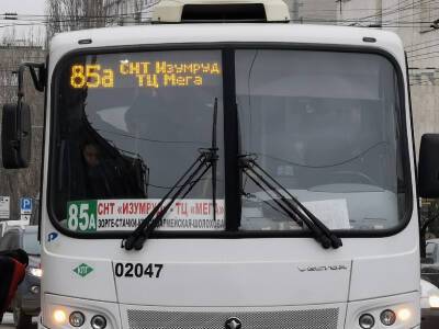 Стоимость проезда из Ростова в ТЦ “Мега” на двух маршрутах снизится