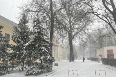 7 декабря в Рязанской области выпустили метеопредупреждение из-за метели