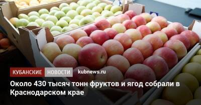Около 430 тысяч тонн фруктов и ягод собрали в Краснодарском крае