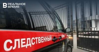 Бастрыкин взял на контроль расследование об истязании ребенка матерью в Казани