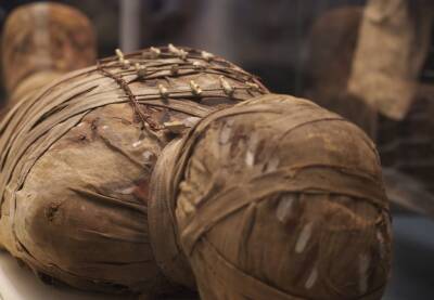 Археологи обнаружили египетские мумии с золотыми языками и мира