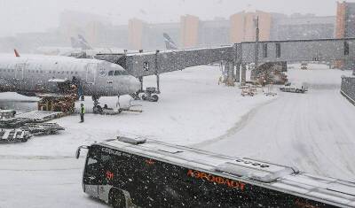 Снегопад привел к задержке рейсов в аэропортах Москвы