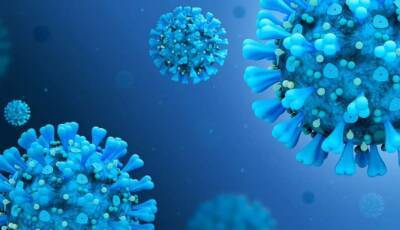 Медики рассказали, как коронавирус влияет на мозг и нервную систему