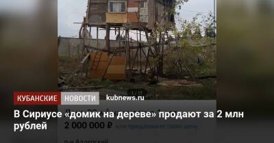 В Сириусе «домик на дереве» продают за 2 млн рублей