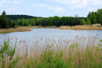 В 2022 году в Белгородской области расчистят более 100 км площадей рек и водоемов