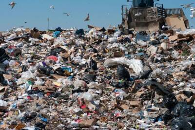 Экология ни при чем: как протесты застопорили мусорную реформу в Ленобласти