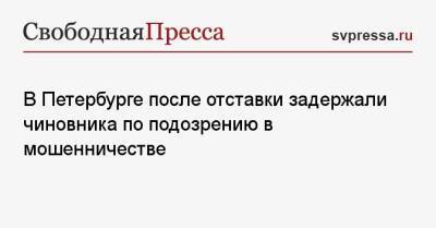 В Петербурге после отставки задержали чиновника по подозрению в мошенничестве