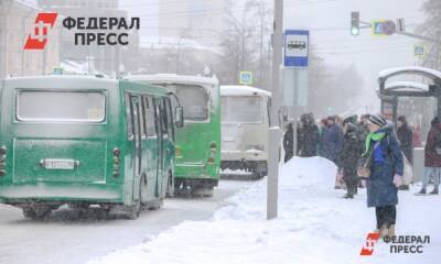 На Среднем Урале из-за антиваксеров дети ходят в школу 2,5 км по замерзшей реке