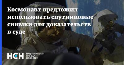 Антон Шкаплеров - Космонавт предложил использовать спутниковые снимки для доказательств в суде - nsn.fm - Россия