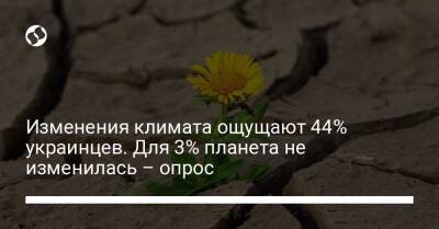 Изменения климата ощущают 44% украинцев. Для 3% планета не изменилась – опрос