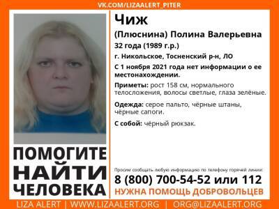 В Тосненском районе больше месяца назад без вести пропала 32-летняя женщина
