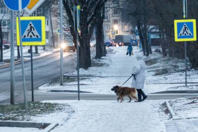 До минус 24 градусов упадет температура в Псковской области 8 декабря