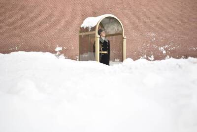Высота сугробов достигла 21 сантиметра в Москве из-за сильного снегопада