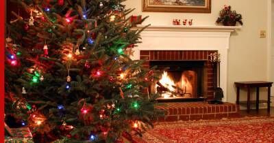 На все праздники: что делать, чтобы новогодняя елка стояла долго и не осыпалась