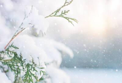 Гололедица и небольшой снег: какой будет погода в Ленобласти в среду