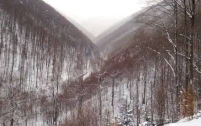 Спасатели призвали украинцев воздержаться от походов в горы