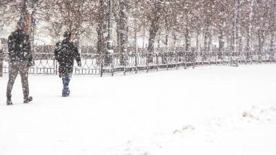 Снегопад в Москве: высота сугробов достигла 21 см