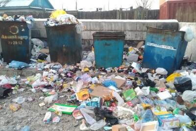 Кошелев о привычке к раздельному сбору мусора: Многие всё ещё помои в мусорный бак льют