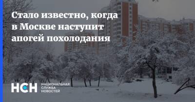 Стало известно, когда в Москве наступит апогей похолодания
