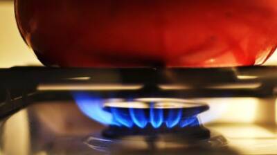 Россиян захотели штрафовать за недопуск газовиков в квартиры