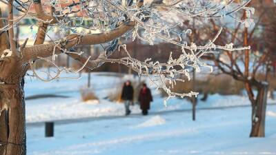 Синоптики назвали сроки наступления апогея похолодания в Москве