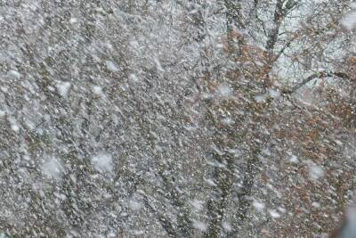 Ночью с 7 на 8 декабря в Марий Эл ожидается сильный снегопад
