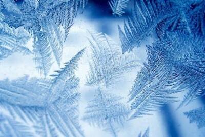 В Тверскую область на несколько дней придут 20-ти градусные морозы