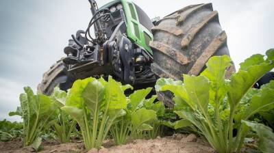 Воронежским аграриям предложили оформить субсидии на производство сахарной свёклы
