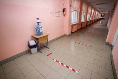 Псковские школы могут уйти на дистанционное обучение с 8 декабря