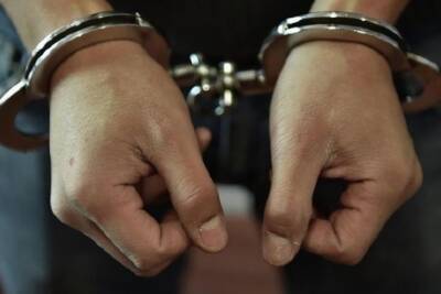 Жителя Черкащины задержали за изнасилование 7-летней девочки