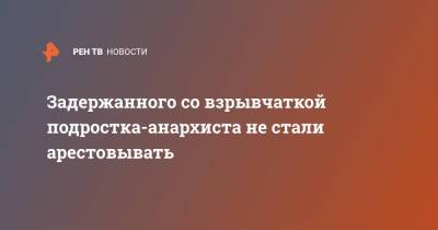 Задержанного со взрывчаткой подростка-анархиста не стали арестовывать