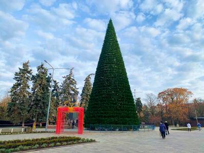 Главную елку Ростова в этом году украсят по-новому