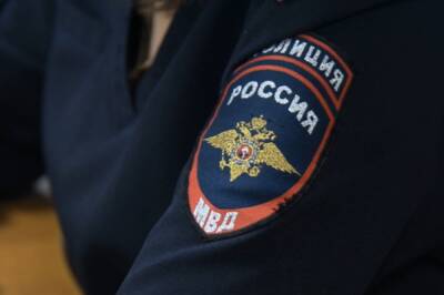 Госдума приняла во втором чтении проект о расширении полномочий полиции