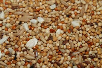 На 25% меньше зерна собрано в Нижегородской области, чем в прошлом году