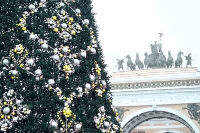 Главная новогодняя елка отправилась в Петербург из Ленобласти