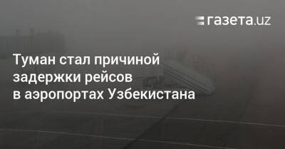 Туман привёл к задержке рейсов в аэропортах Узбекистана