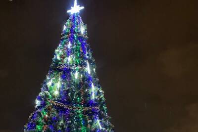 В Твери украшают главную новогоднюю ёлку