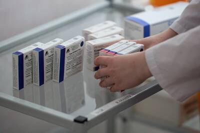 ГД отказалась запрашивать у кабмина данные о проверке «вакцинных интересов» Голиковой