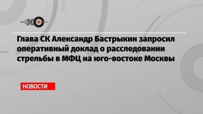 Глава СК Александр Бастрыкин запросил оперативный доклад о расследовании стрельбы в МФЦ на юго-востоке Москвы