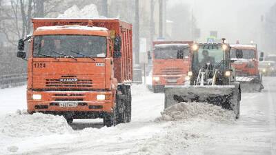 Тишковец назвал снегопад в Москве 7 декабря сильнейшим с 1949 года