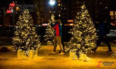 Новгородцы останутся без фейерверка и церемонии зажжения огней на новогодней елке
