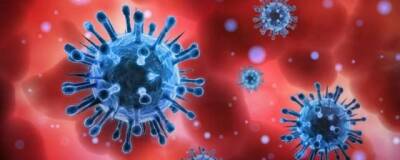 Врач-иммунолог Жемчугов: Коронавирус ищет нового «хозяина» вместо человека