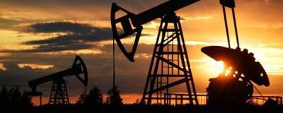 Минэнерго США повысило прогноз по добыче нефти в стране на 2021 год и снизило на 2022 год