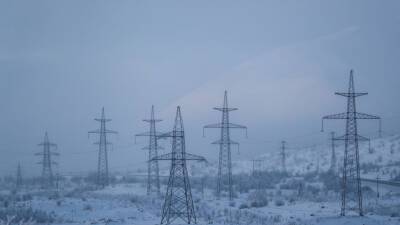 В Новгородской области решили ввести режим ЧС из-за обрывов линий электропередач
