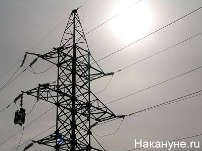 В Новгородской области введен режим ЧС из-за отключений электричества после снегопадов