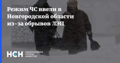 Режим ЧС ввели в Новгородской области из-за обрывов ЛЭП
