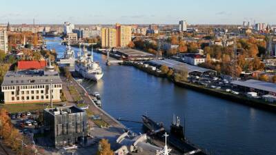 Экспорт продукции АПК Калининградской области превысил $1,7 млрд в 2021 году