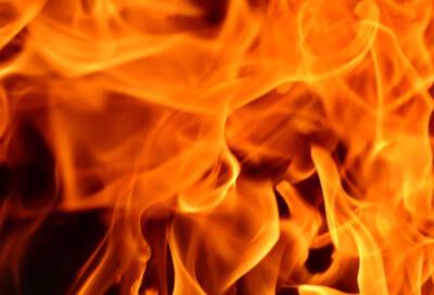 В Гатчинском районе женщина получила ожоги при пожаре в частном доме