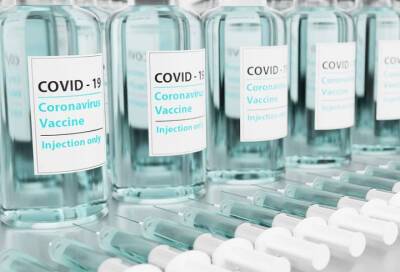 В Петербурге вакцинировали от COVID-19 более 66% взрослых жителей