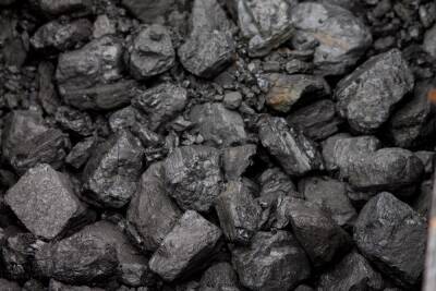 В Омской области 12 районов получат 41 млн рублей на закупку угля